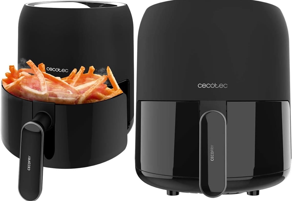 Freidora Cecofry Fantastik 3000 de Cecotec