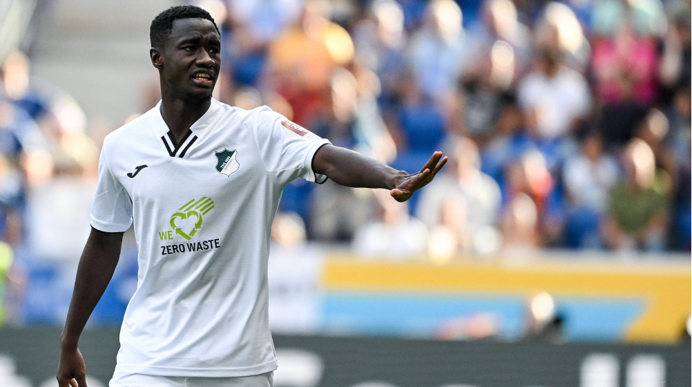 Diadié Samassékou pertenece al Hoffenheim alemán