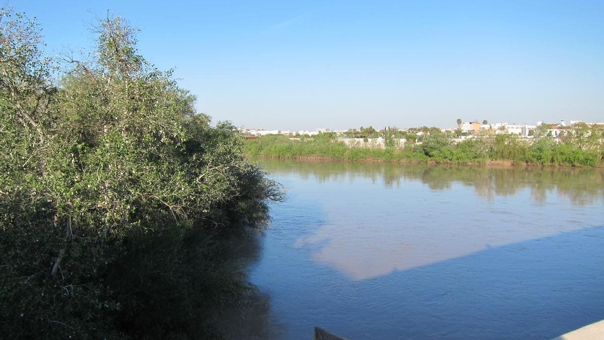 El valle del Guadalquivir será una de las zonas más afectadas por las lluvias