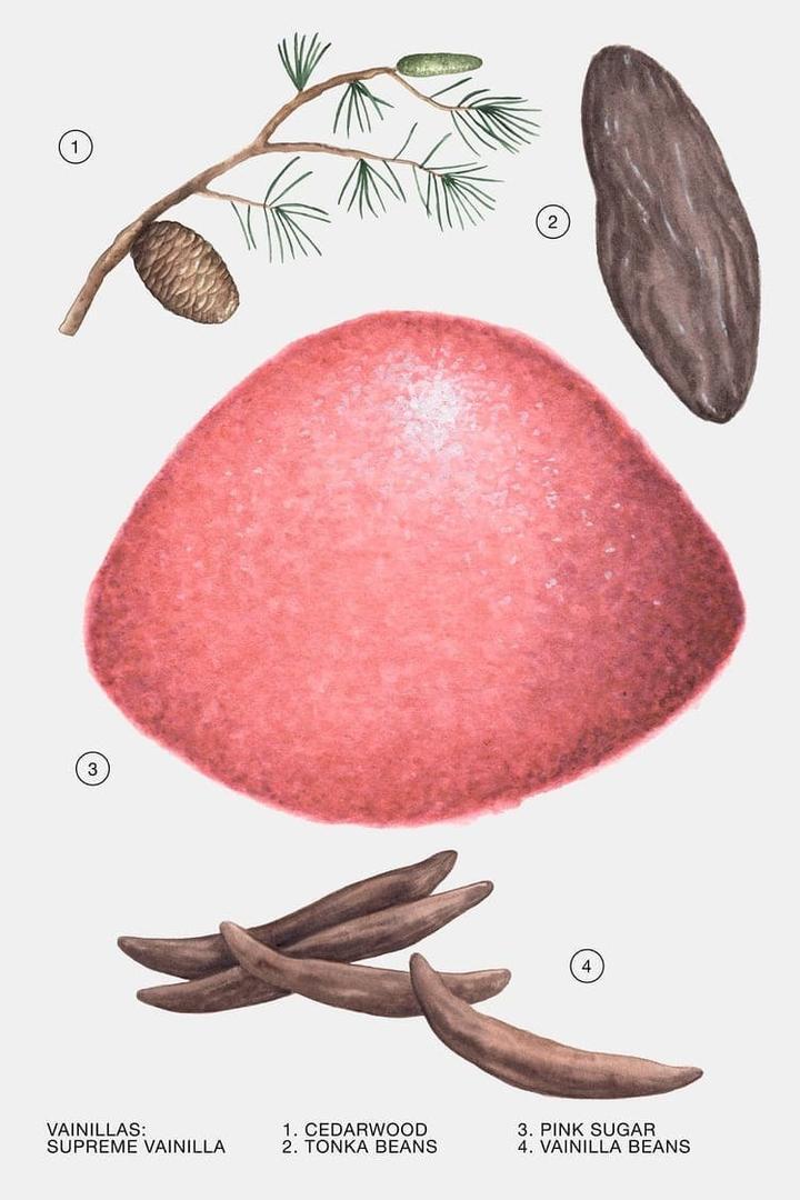 Colonia Supreme Vanilla de Zara