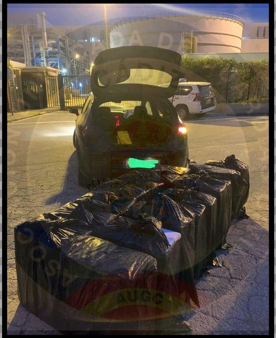 Fardos de tabaco intervenidos | AUGC