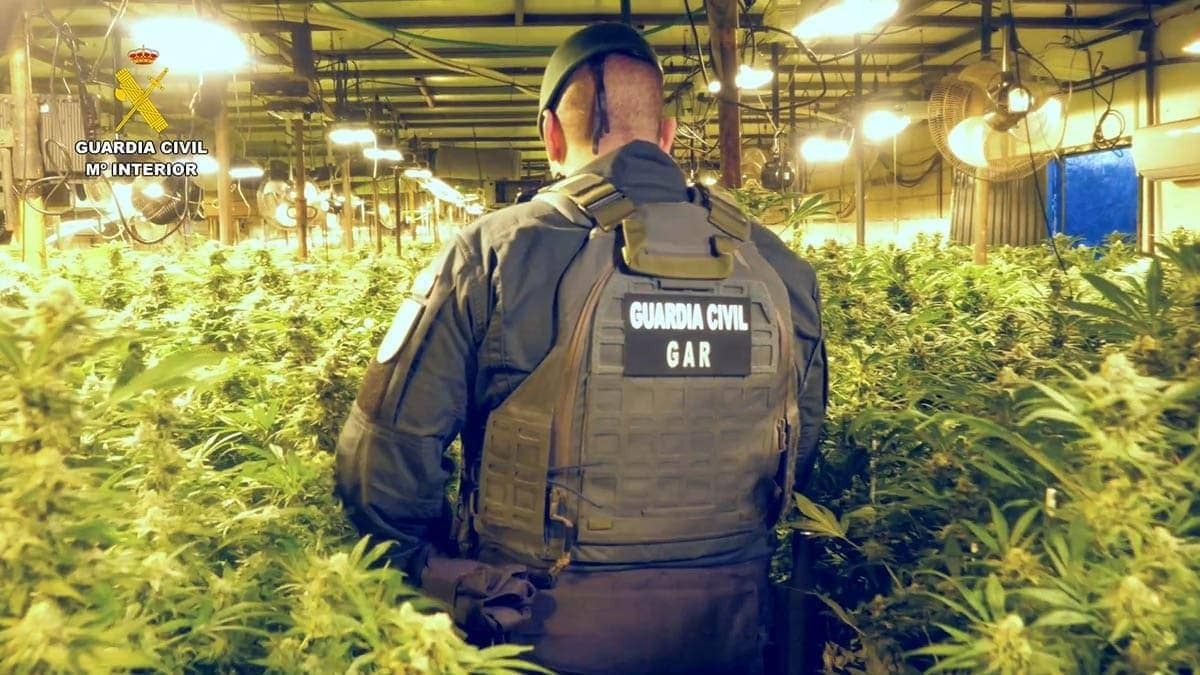 Los detenidos se dedicaban al blanqueo de capitales provenientes de diferentes actividades ilícitas