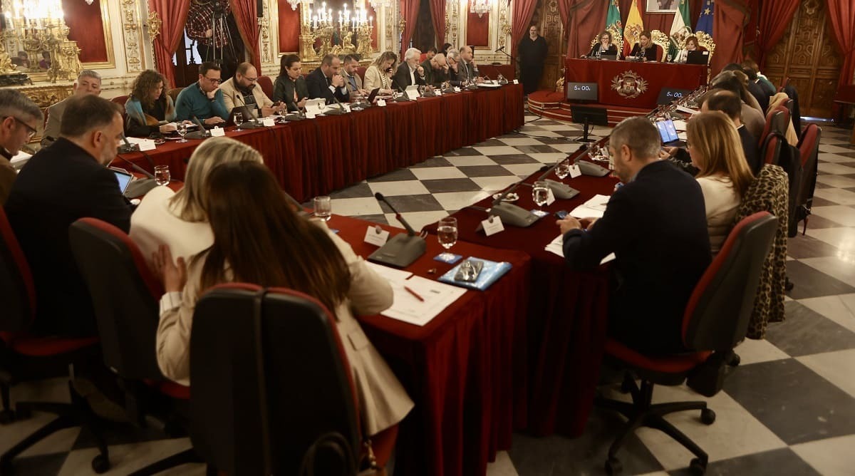 Imagen de la sesión plenaria del mes de febrero