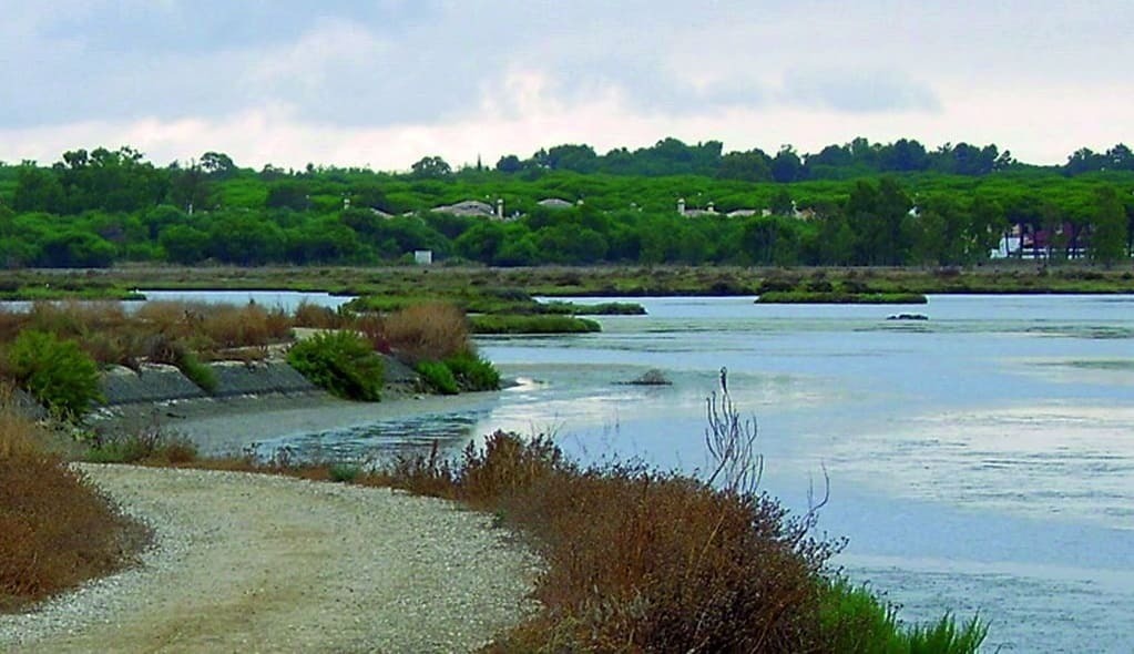 Salina de Carboneros