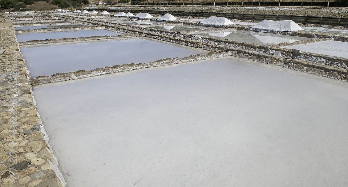 Las salinas Iptuci están situadas en pleno parque de Los Alcornocales