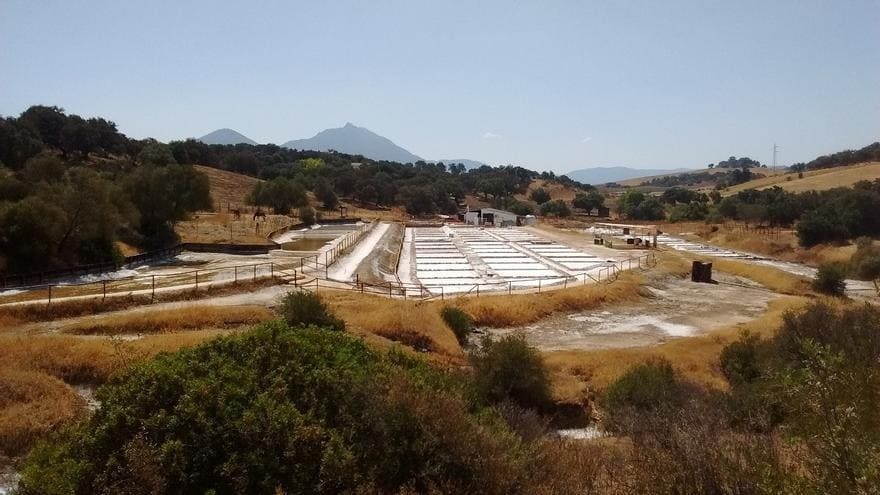 Un espectáculo de sal en plena sierra gaditana