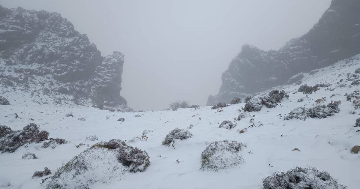 La nieve se ha hecho esperar en este 2024