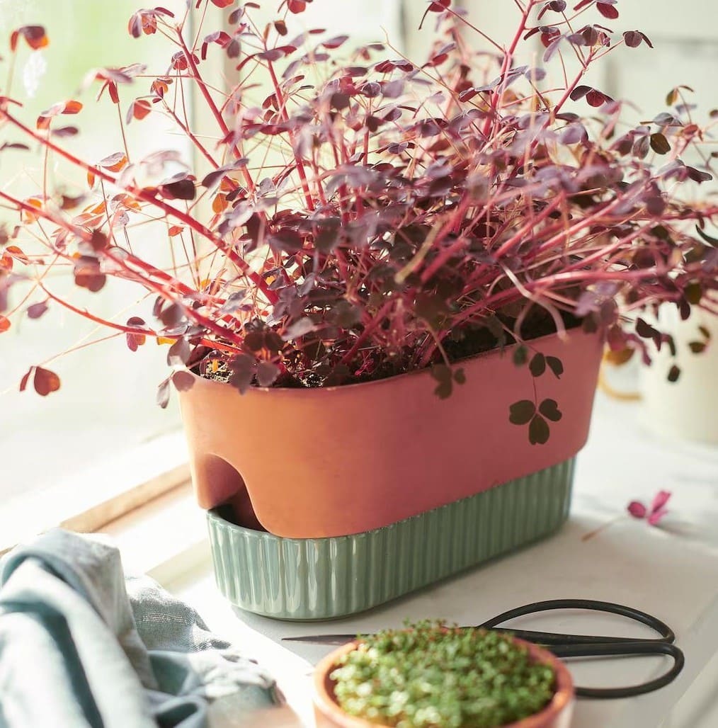 Maceta con autorriego DAKSJUS