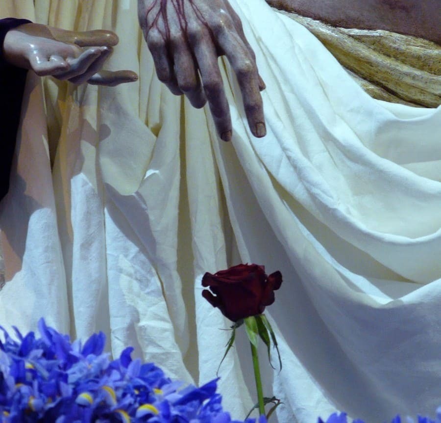 La rosa del misterio de Santa Marta