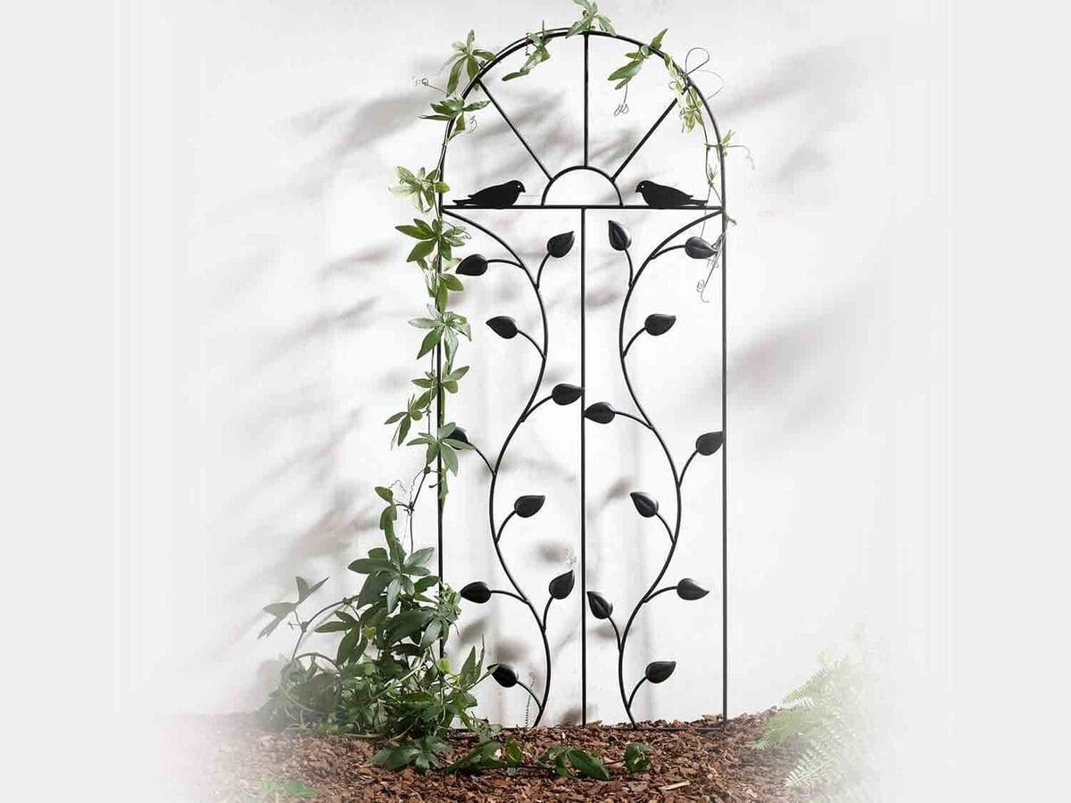 Celosía para plantas trepadoras Livarno Home