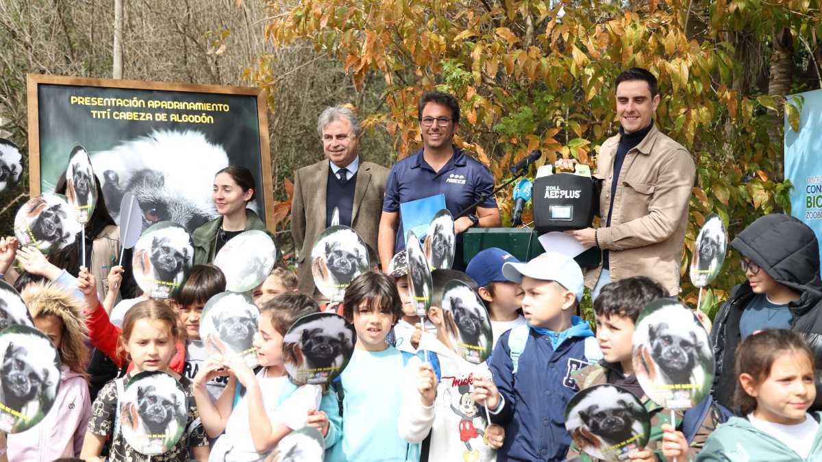 Apadrinamiento de los titis cabeza de algodón | Cristo García