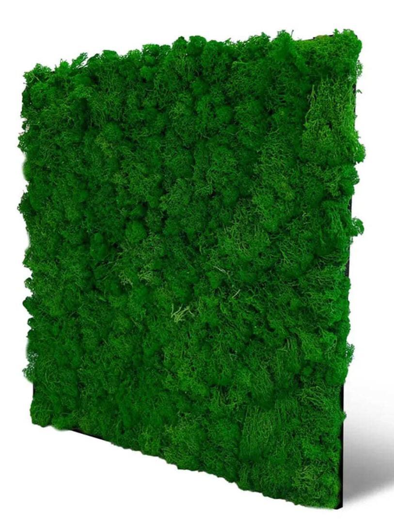 Paneles 3D de musgo IKHEMALARKA