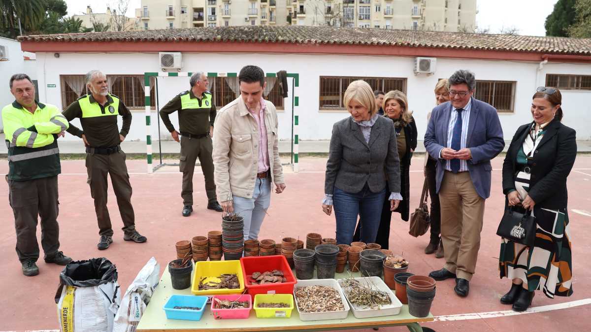 Plantación de arbolado en el CEIP Antonio Machado | Cristo García