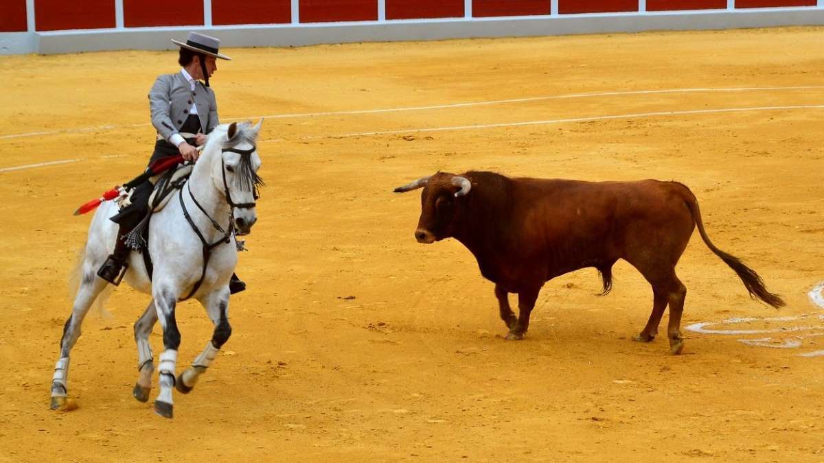 Leonardo I Foto Marciano Breña