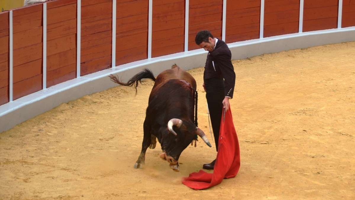 Finito I Foto Marciano Breña