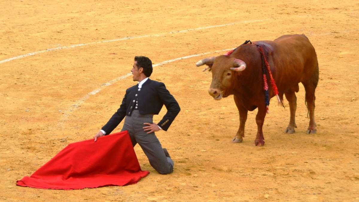Víctor Janeiro I Foto Marciano Breña