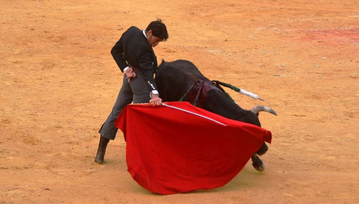 Cayetano I Foto Marciano Breña