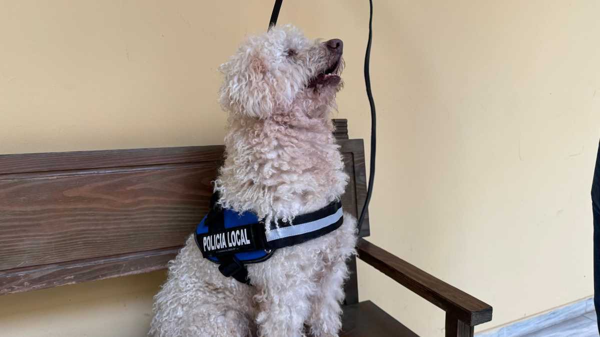 Turco y Agustín López | Rafa Domínguez