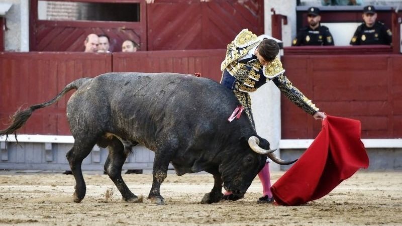 Luis Gerpe y Cortinero