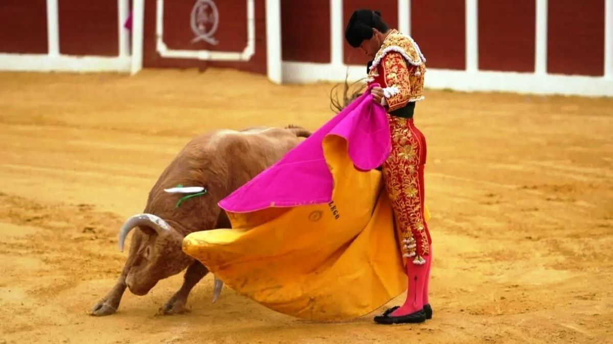 Pedro Gallego | @ctorosandalucia