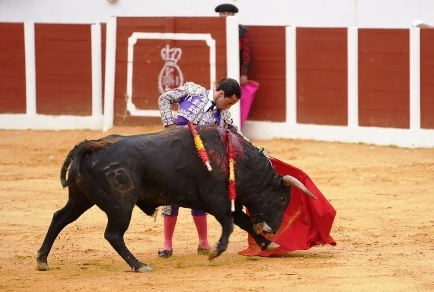 Javi Peregrino | @ctorosandalucia