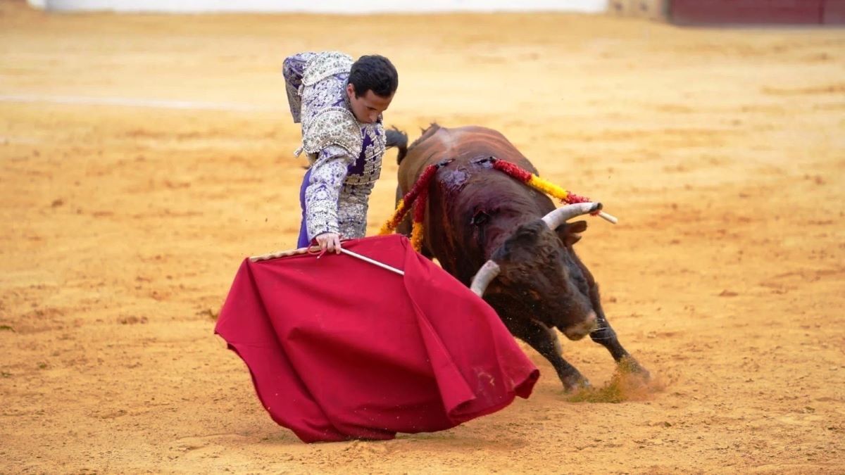 Javi Peregrino | @ctorosandalucia