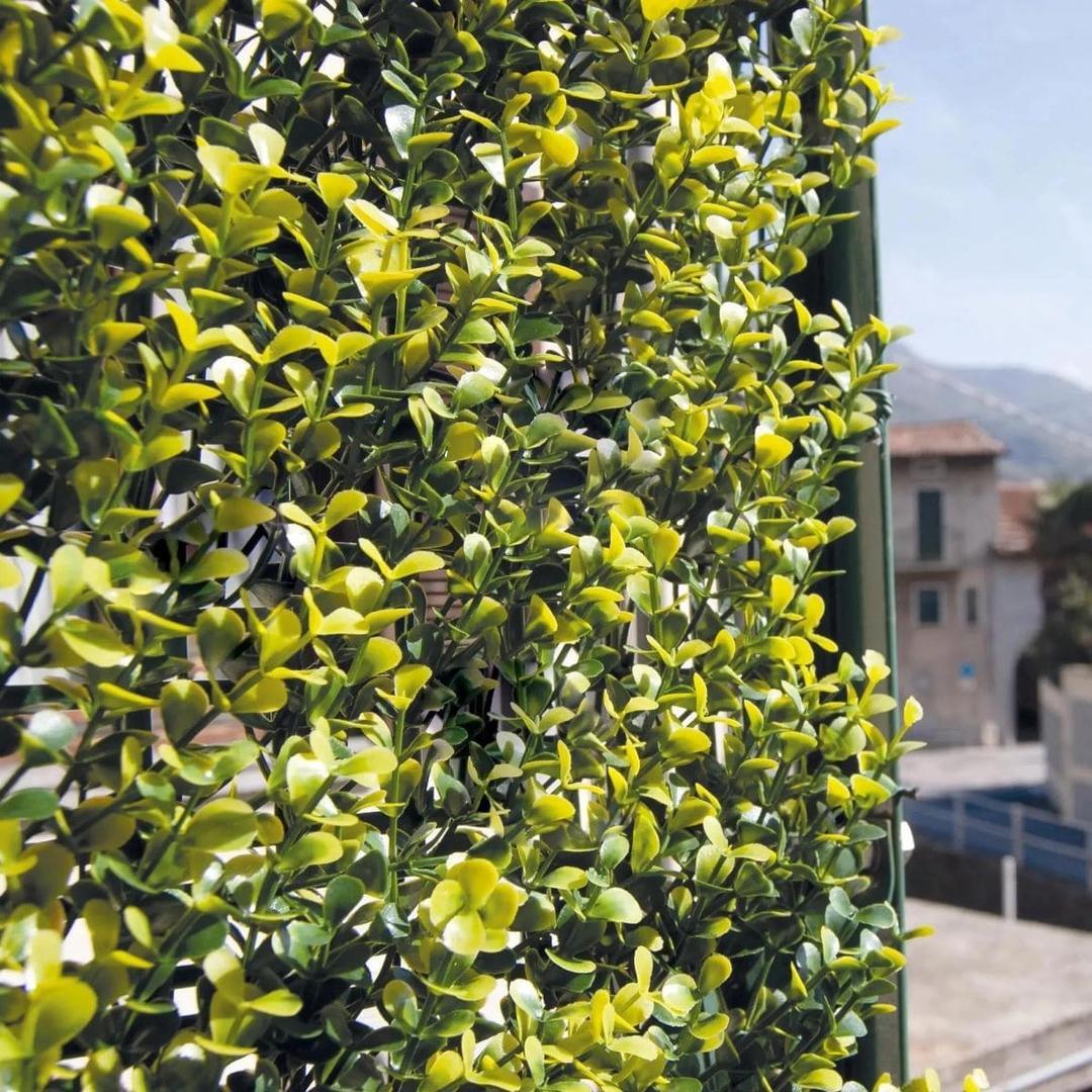 Jardín vertical Buxus TENAX