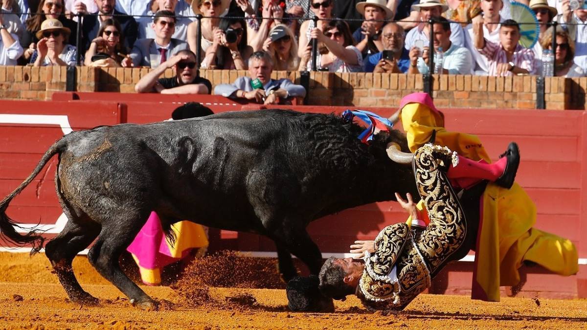 Manuel Escribano | Arjona