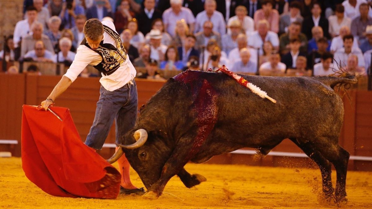 Manuel Escribano | Arjona