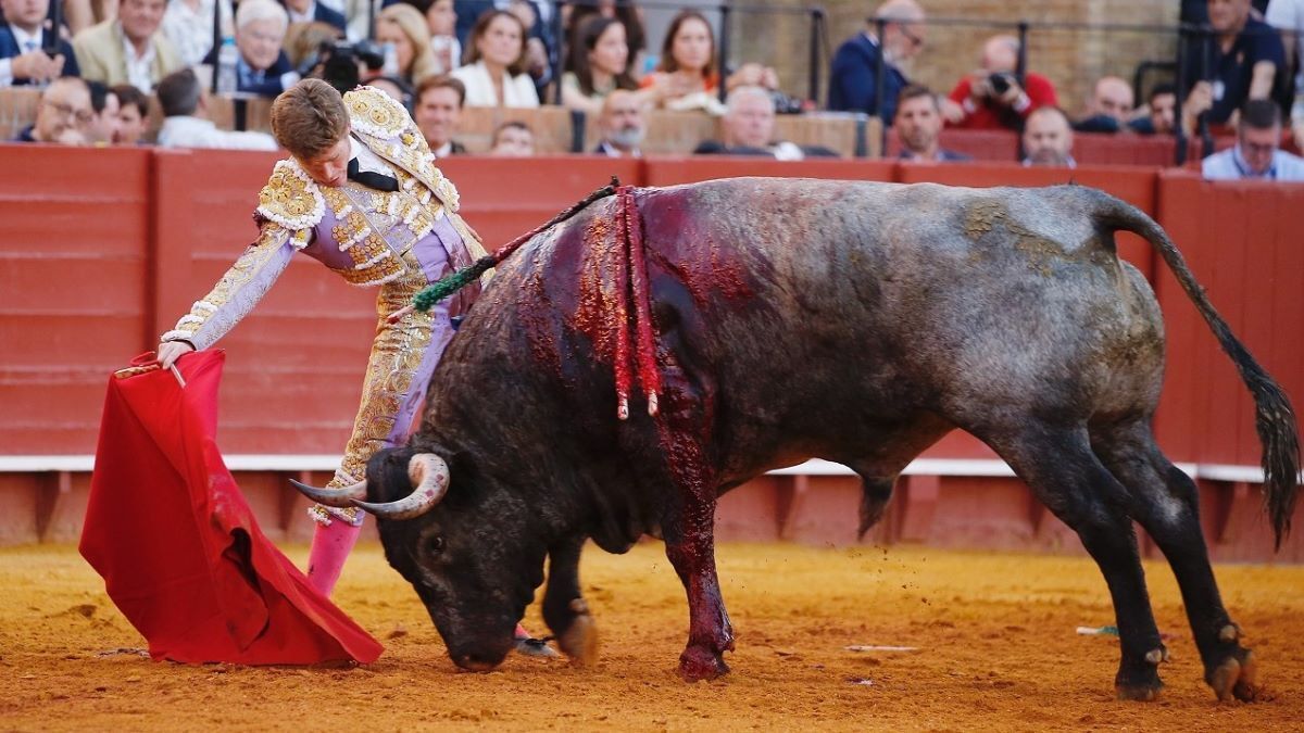 Borja Jiménez | Arjona