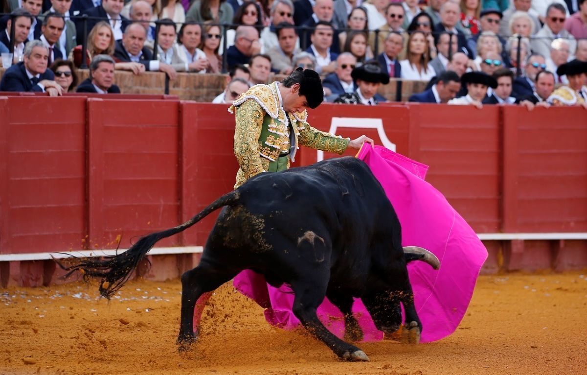 Juan Ortega | Arjona