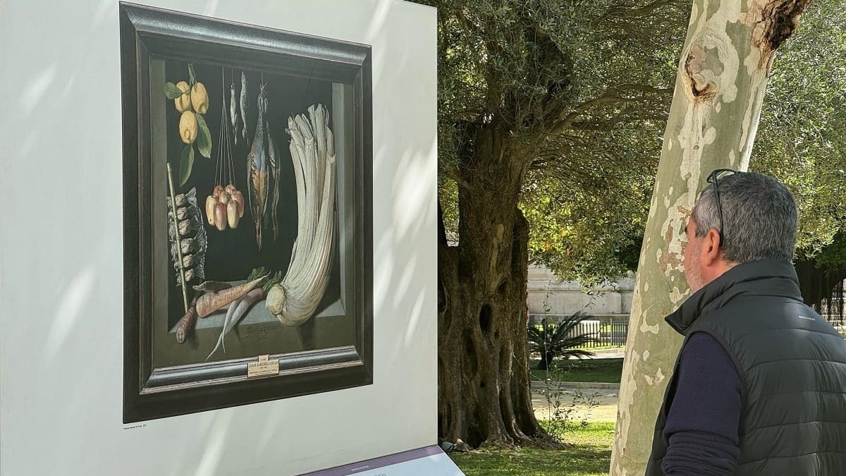 Algunas de las obras expuestas | Rafa Domínguez para ElMIRA