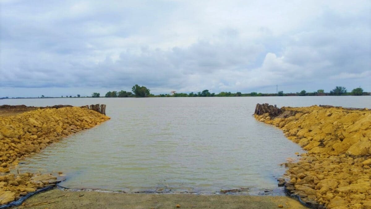 Las marismas del Guadalquivir