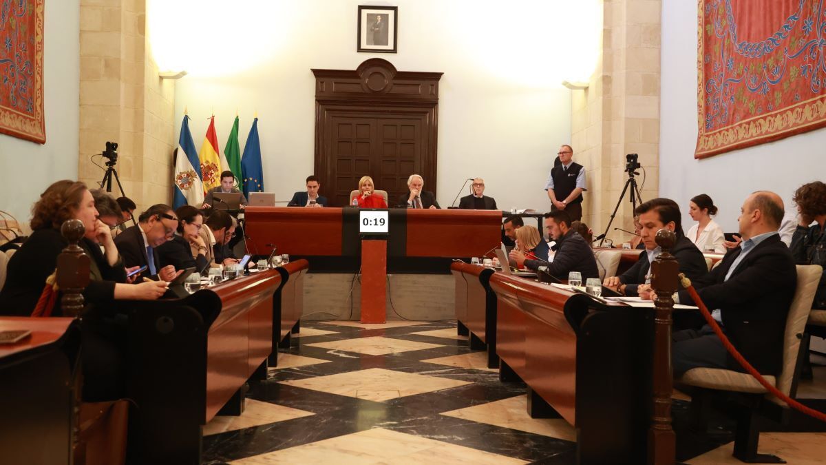 Celebración del Pleno ordinario del mes de Abril | Cristo García