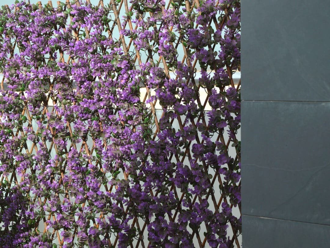 Celosía extensible de mimbre lavanda