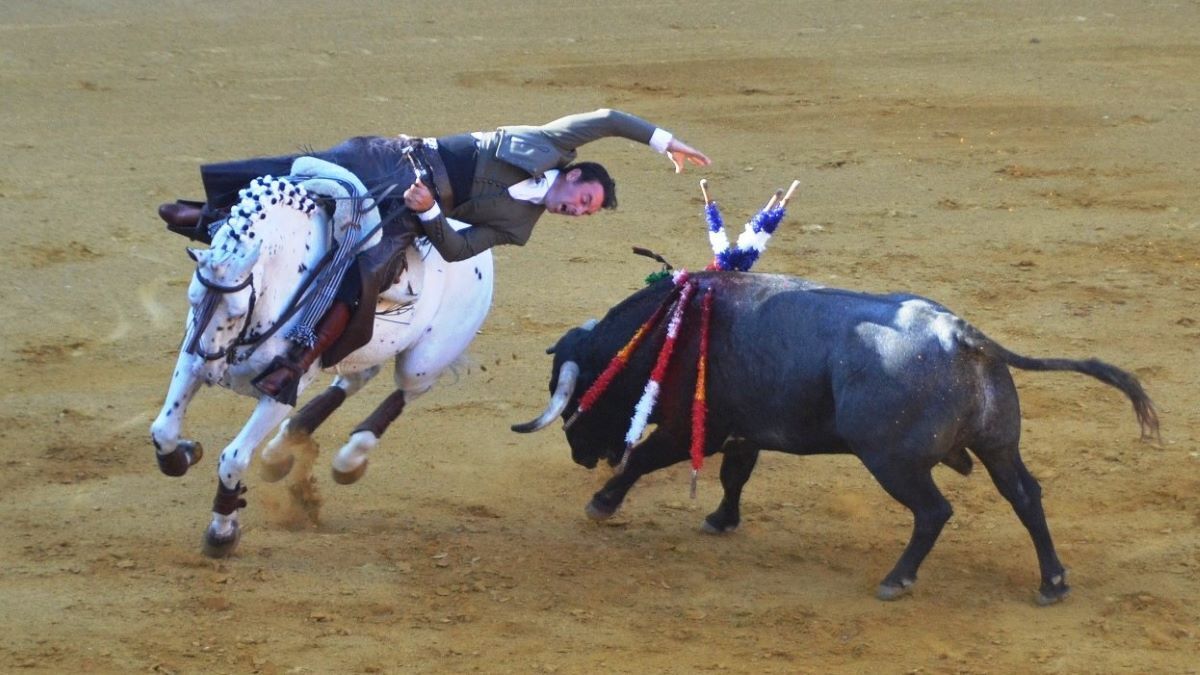 Andy Cartagena | Marciano Breña