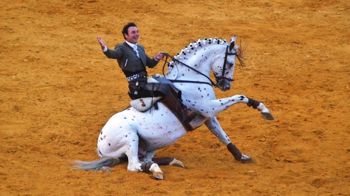 Cartagena sobre Pintas | Marciano Breña