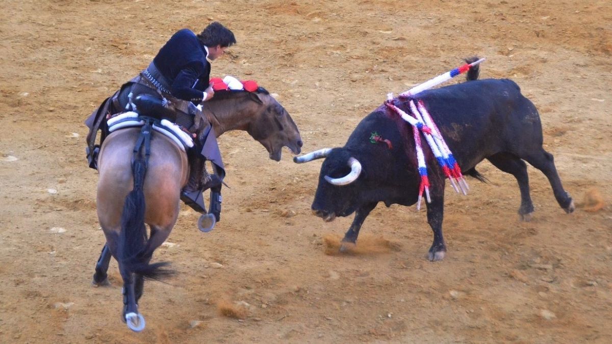 Ventura sobre Bronce | Marciano Breña