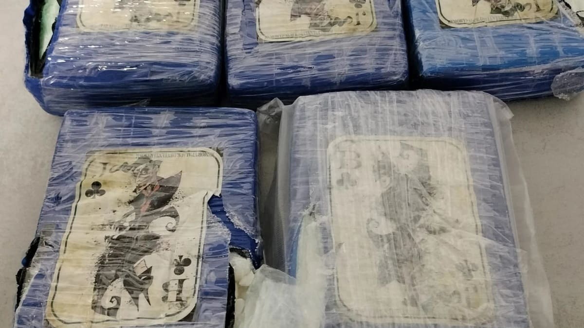 La red cobraba la droga por Bizum