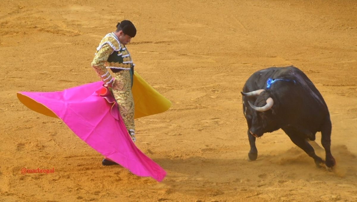 Alejandro Talavante | Marciano Breña