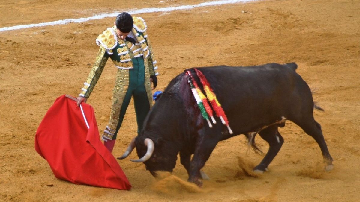 Alejandro Talavante | Marciano Breña