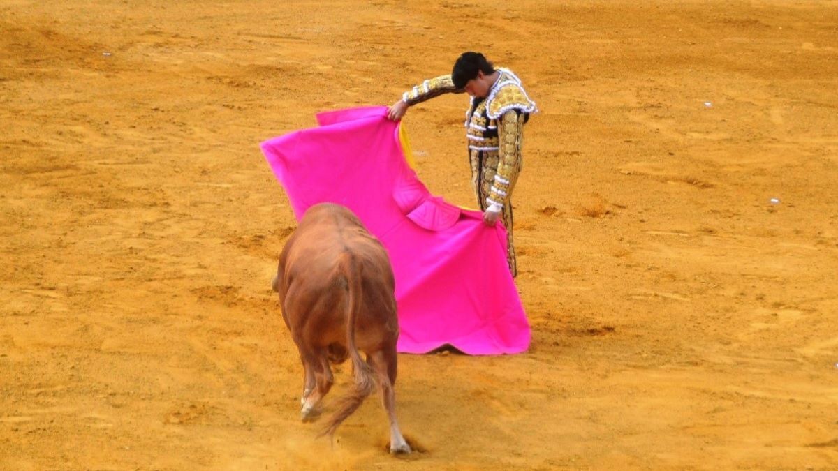 Roca Rey | Marciano Breña