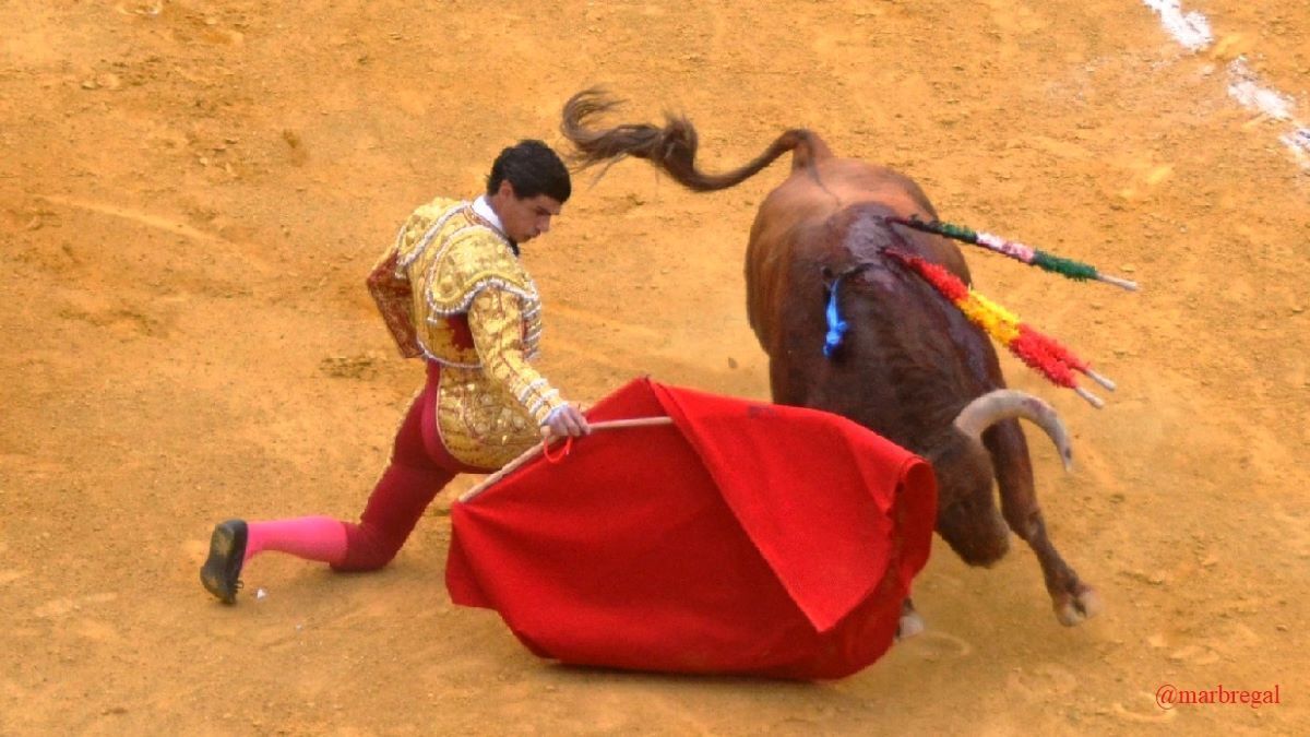 Pablo Aguado | Marciano Breña