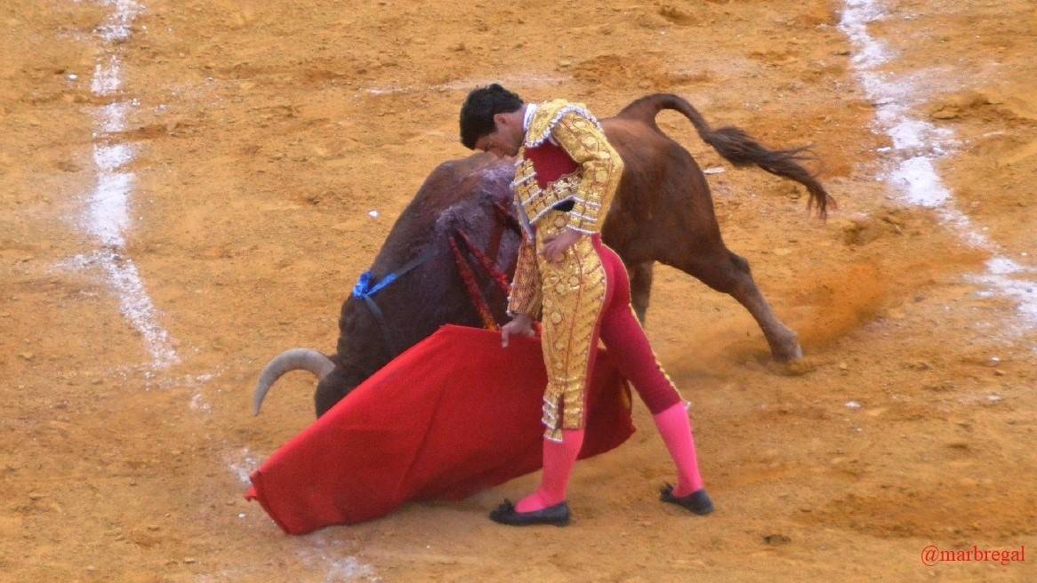 Pablo Aguado | Marciano Breña