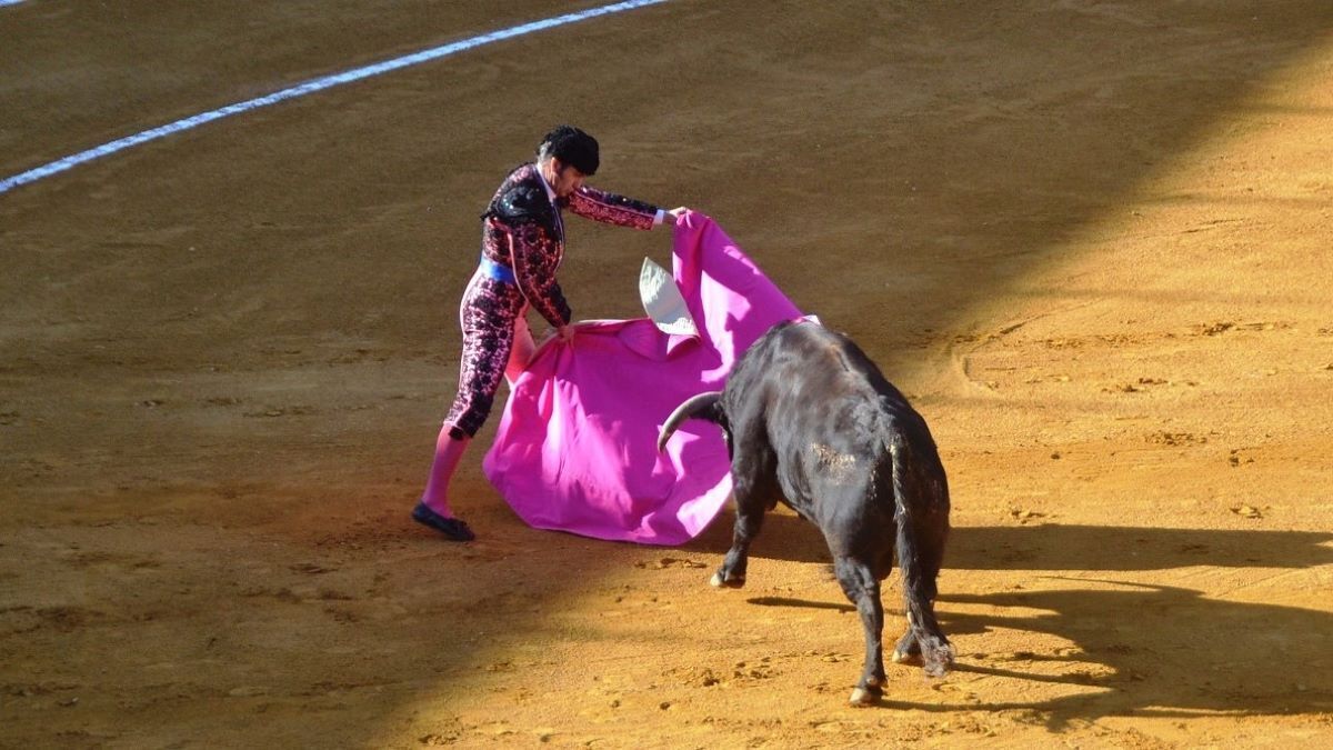 Morante birlongueando | Marciano Breña