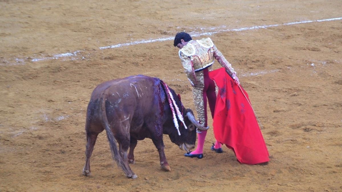 Sebastián Castella | Marciano Breña