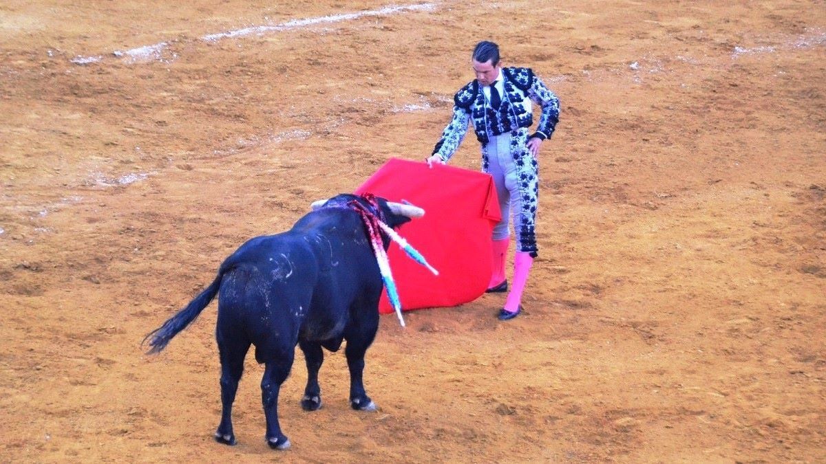 J. M. Manzanares | Marciano Breña