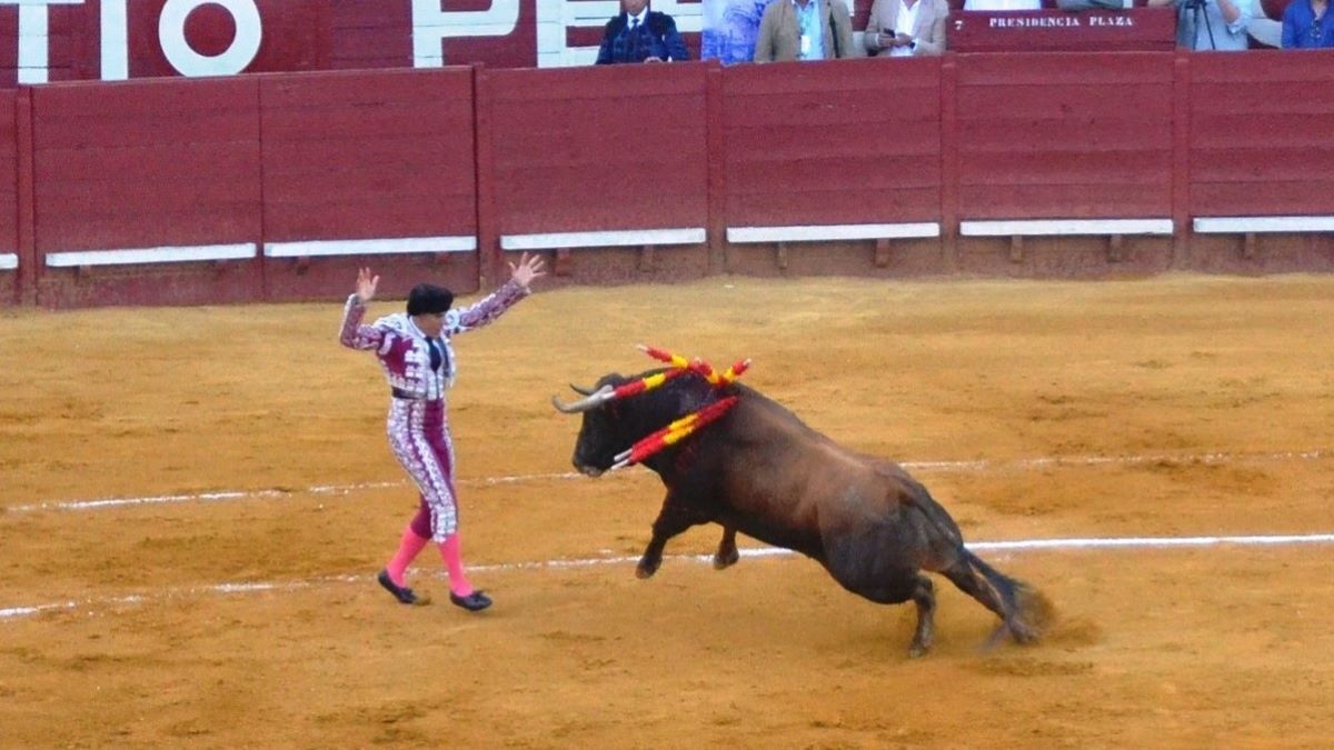 Curro Javier tras asomarse al balcón | Marciano Breña