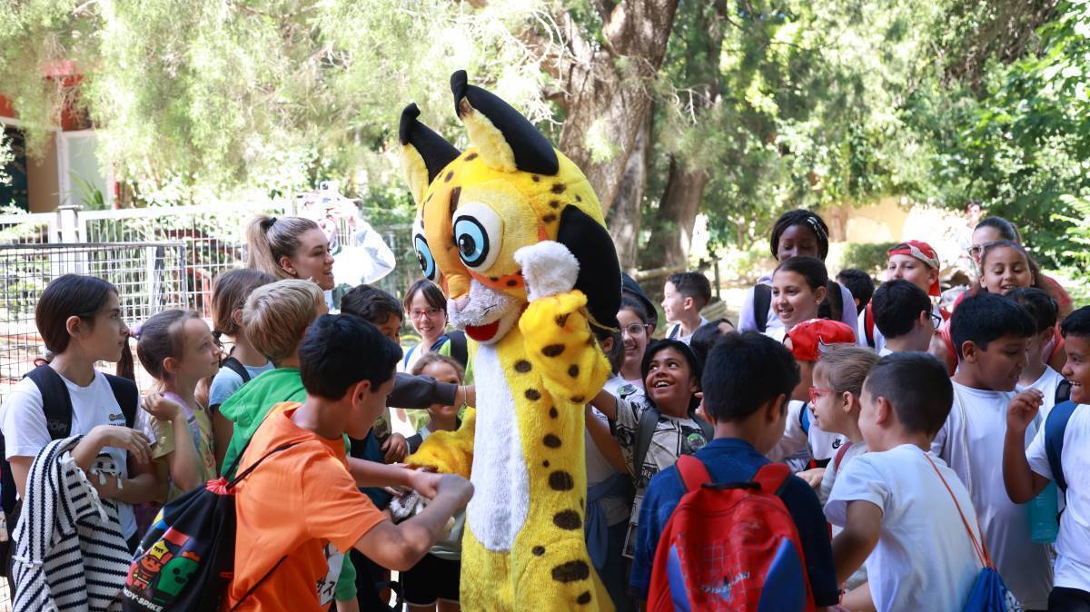 Apadrinamiento de linces ibéricos en el Zoobotánico de Jerez | Cristo García