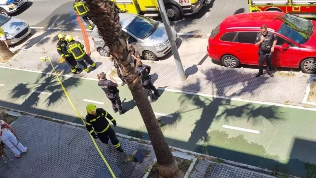 Imagen del dispositivo montado alrededor de la vivienda